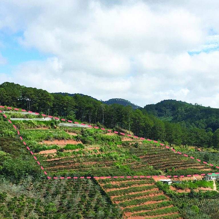 Dalat Farm FuturArc
