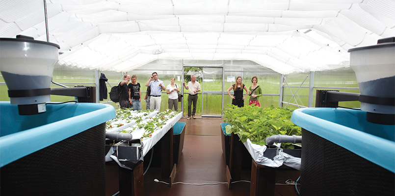 Aquaponics berlin Agriculture 2.0